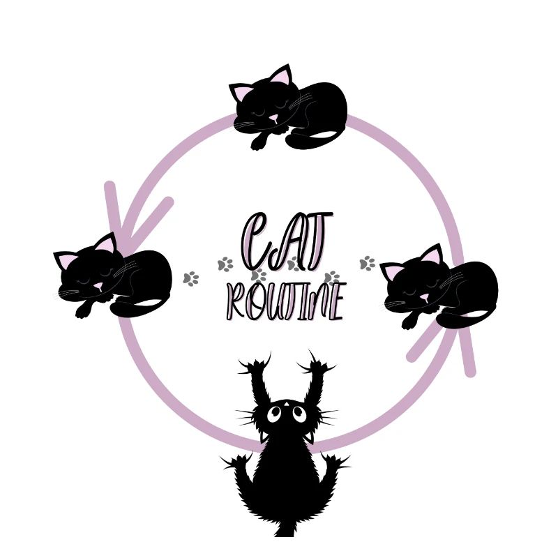 Katzen-Routine