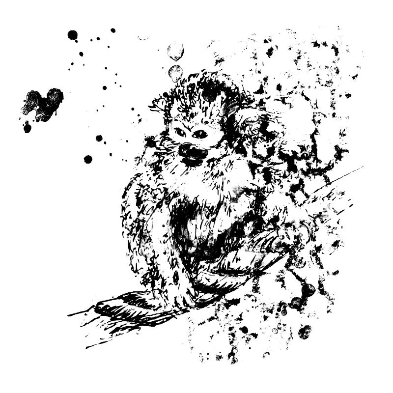 monkey on rope