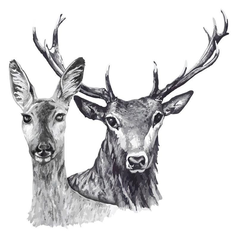 Hirsche und Rehe