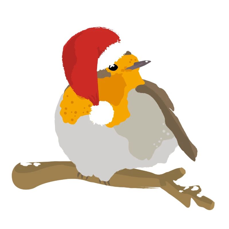 Robin avec chapeau de Noël