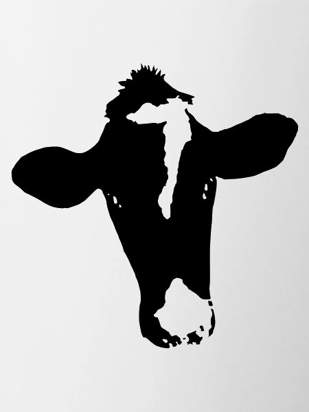 Boeuf 7