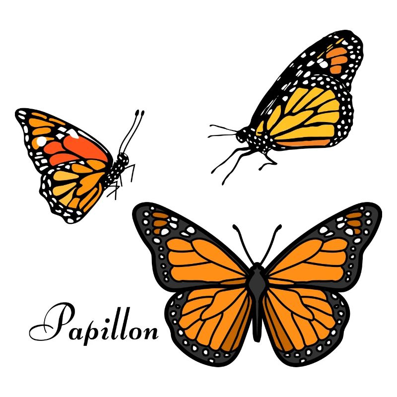 Groupe de papillons