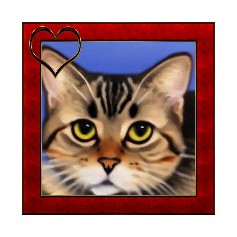 Katzenportrait 8