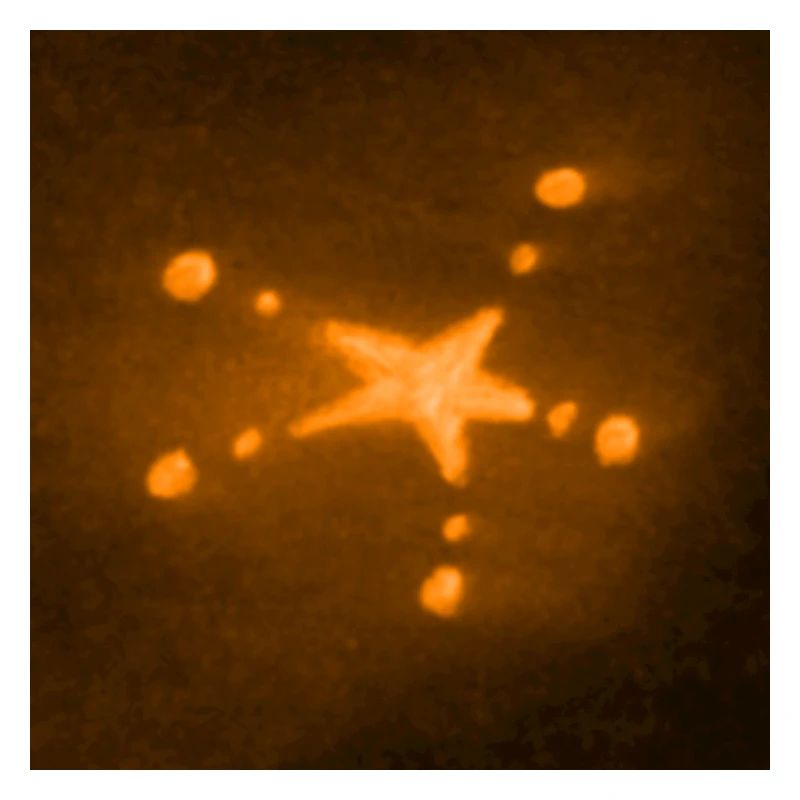ORANGE STERN