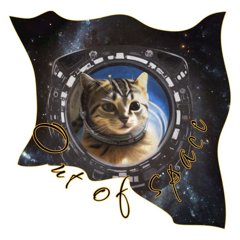 Espace cat 2