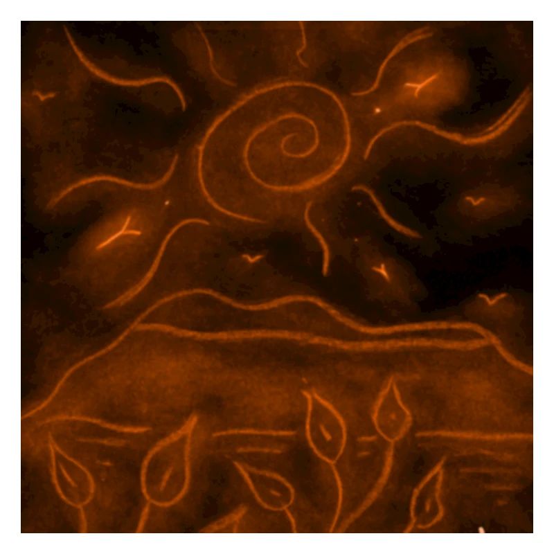 ORANGE NIGHT LANDSCAPE