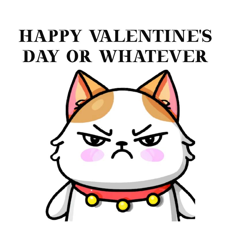 Chat agacé Drôle Idée cadeau de Saint-Valentin