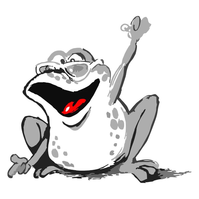 Toad Amphibian