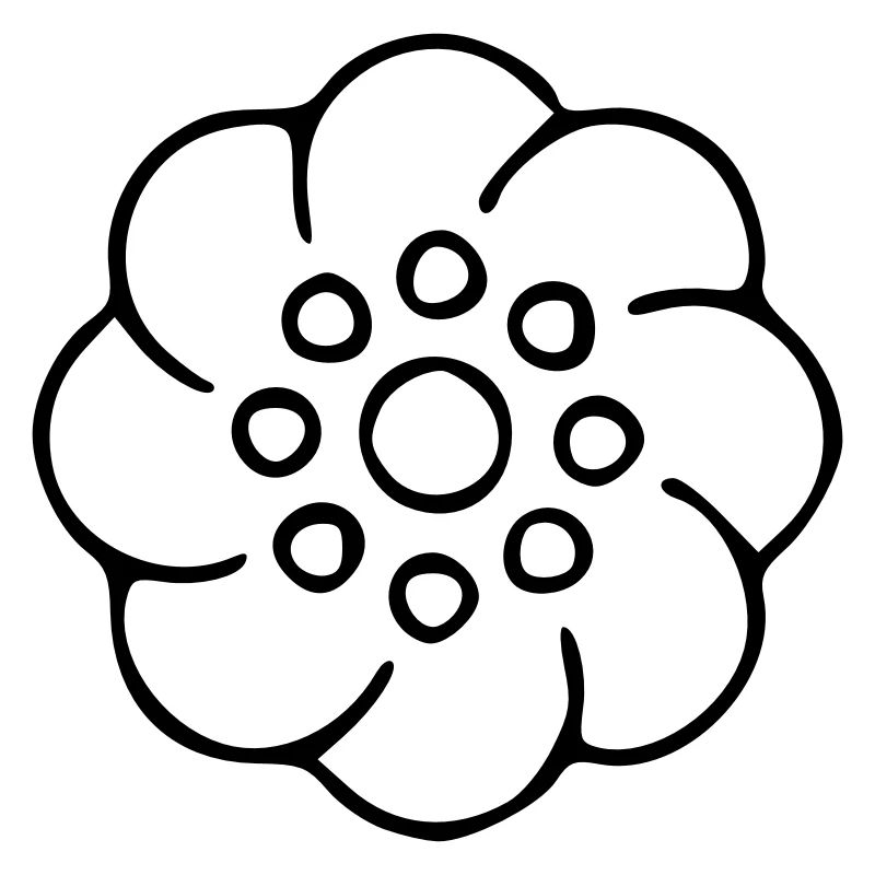 Flower Drawing Nature Sketch Black