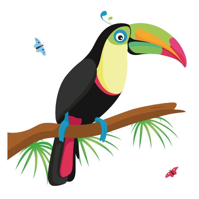 Toucan
