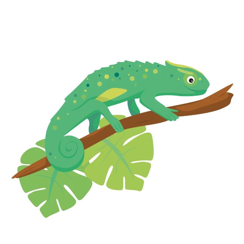 Caméléon
