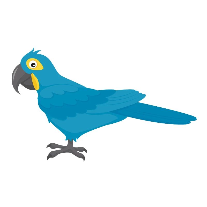 Hyacinth Macaw