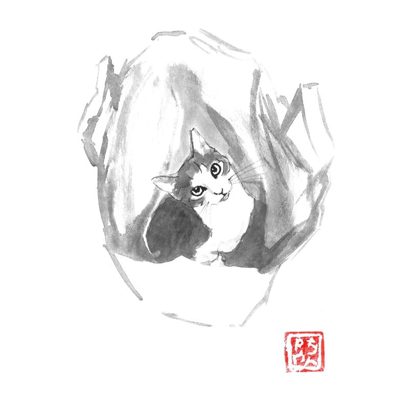 Die Katze im Sack