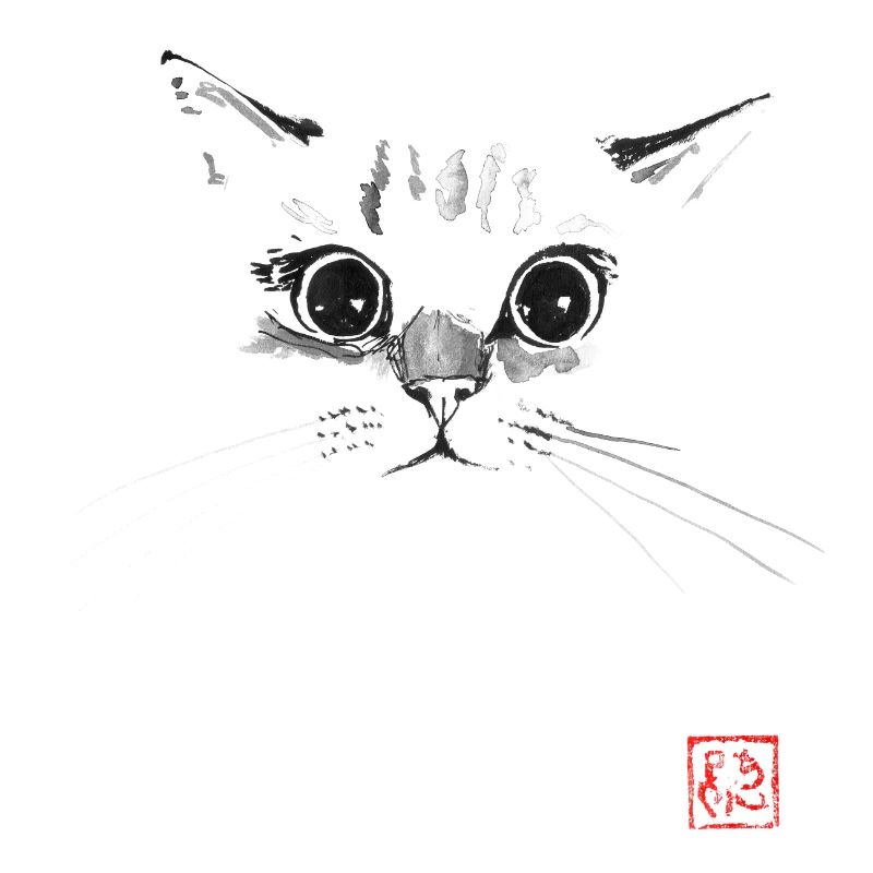 cat face