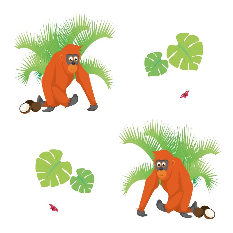 Orangutan