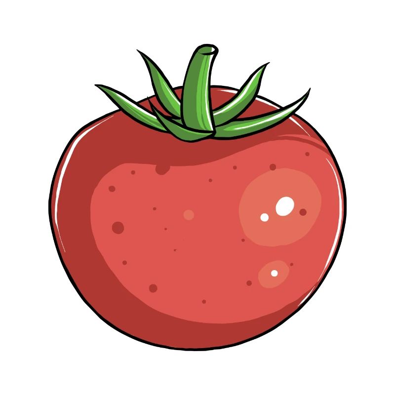 Tomato
