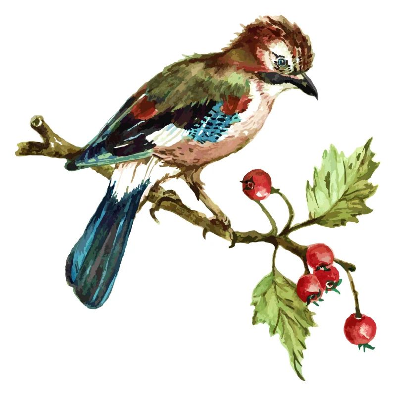 Bunter Vogel
