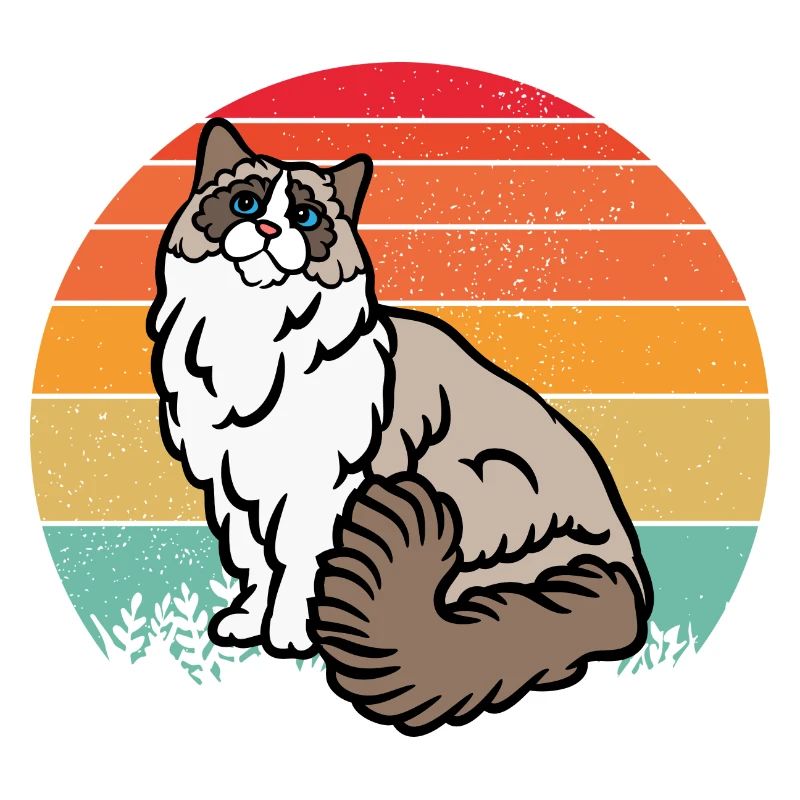 Chat RAGDOLL rétro