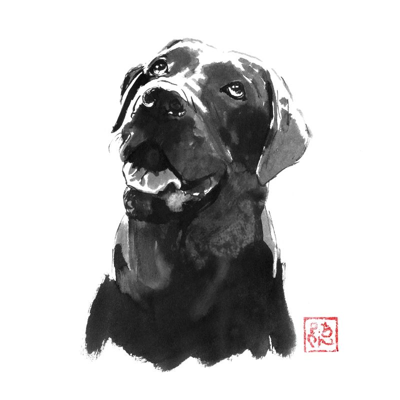 gros chien