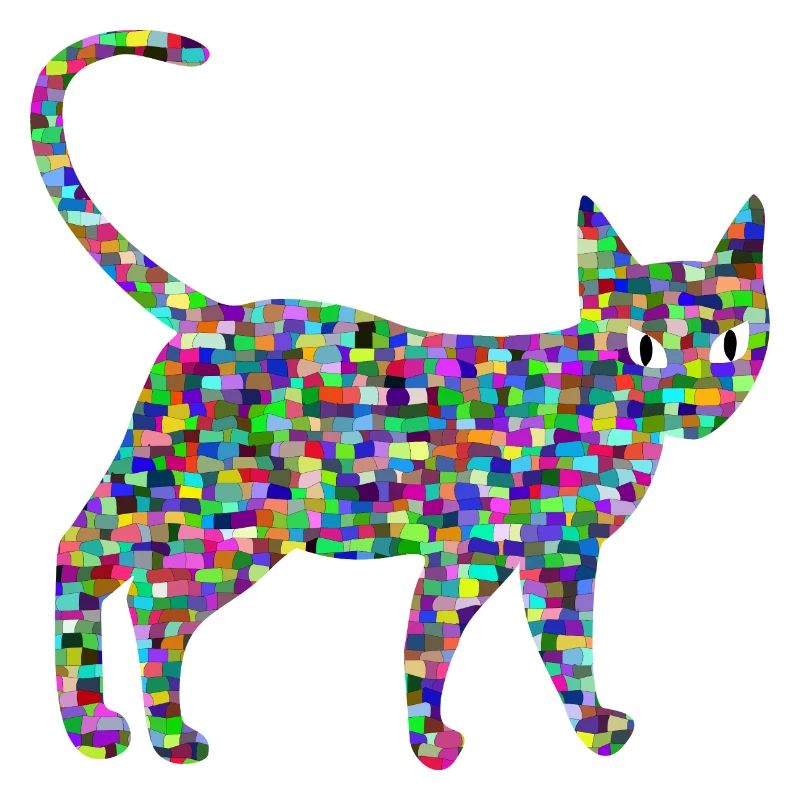 Bunte Katze, Catwalk