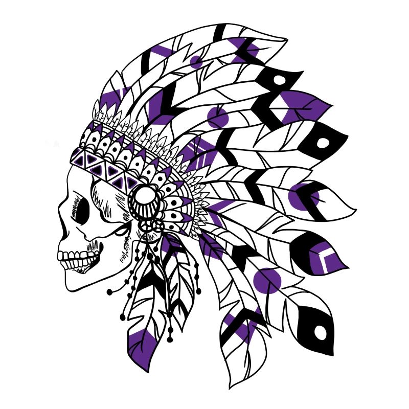 crâne avec coiffe indienne noir et violet