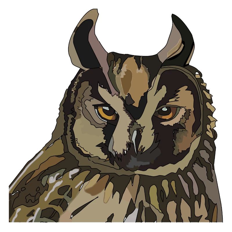 Owl Head