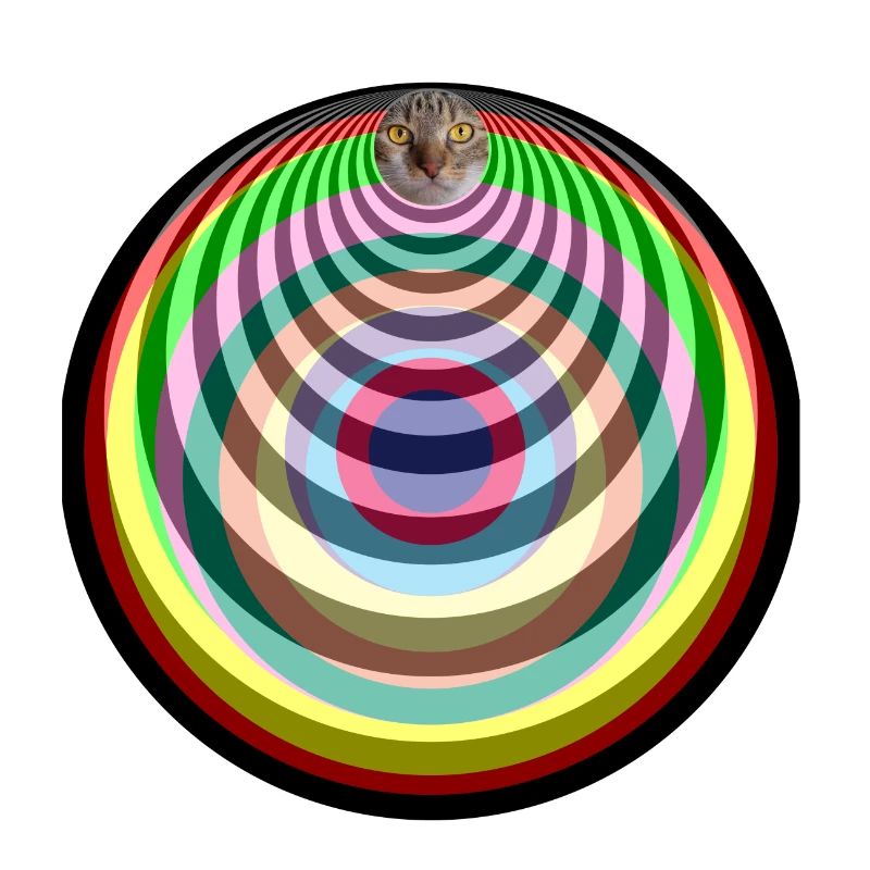 Pop Art psychedelic cat
