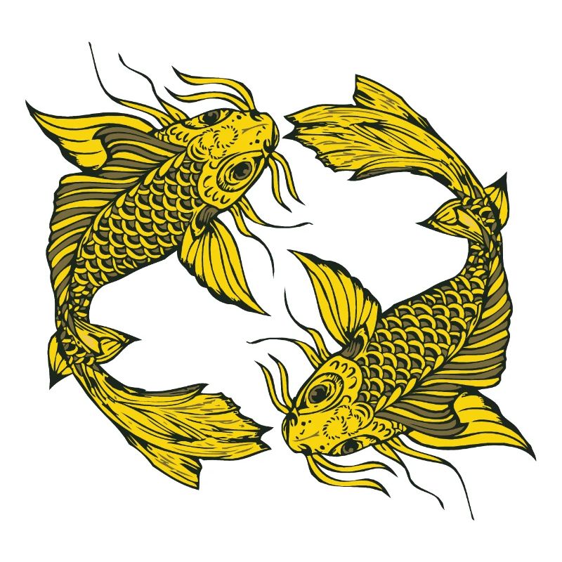 Japanese koi carp fish drawing 14034 A