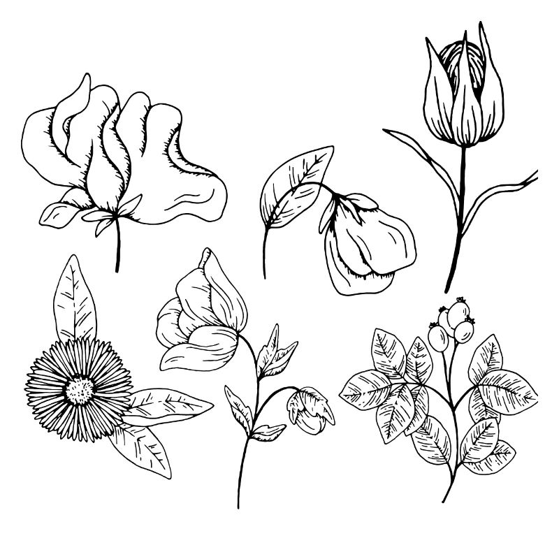 Groupe de fleurs minimalistes