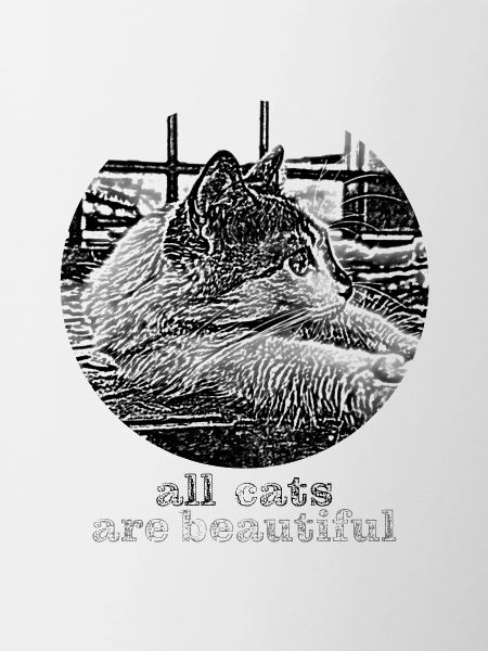 All cats are beautiful