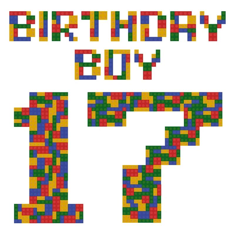 Cute 17th Birthday Gift 17 Year Old Block Building