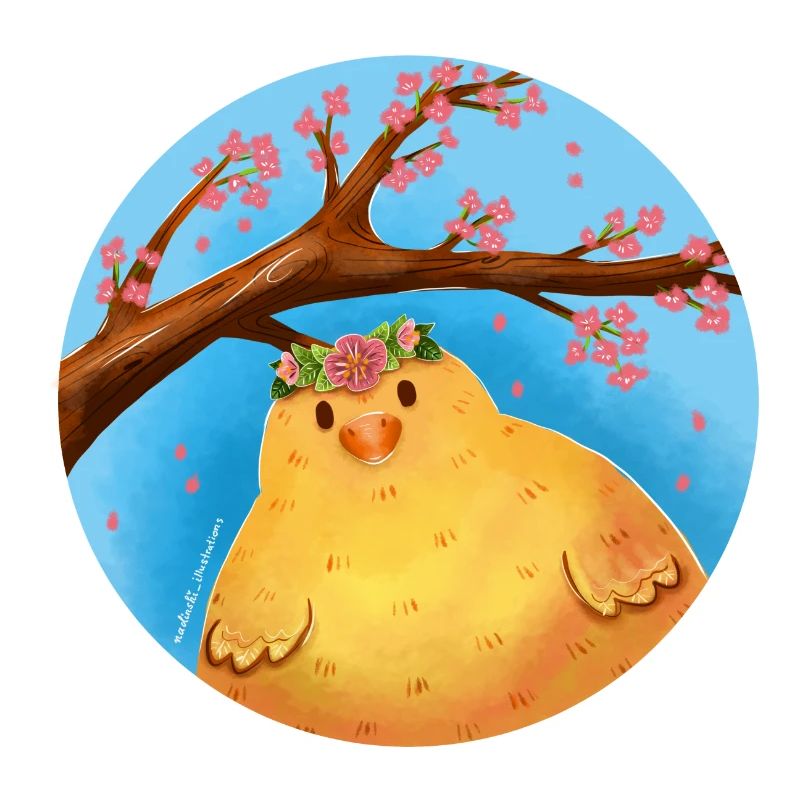 Poussins de printemps