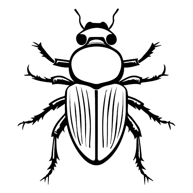 Insectes, bestioles, arthropodes