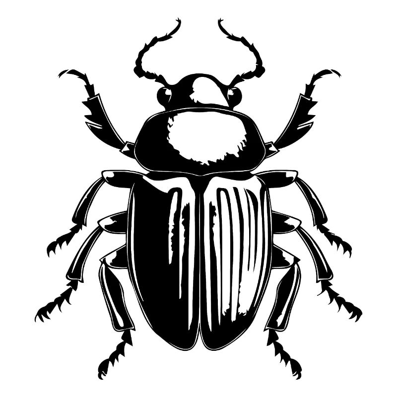 Insectes, bestioles, arthropodes