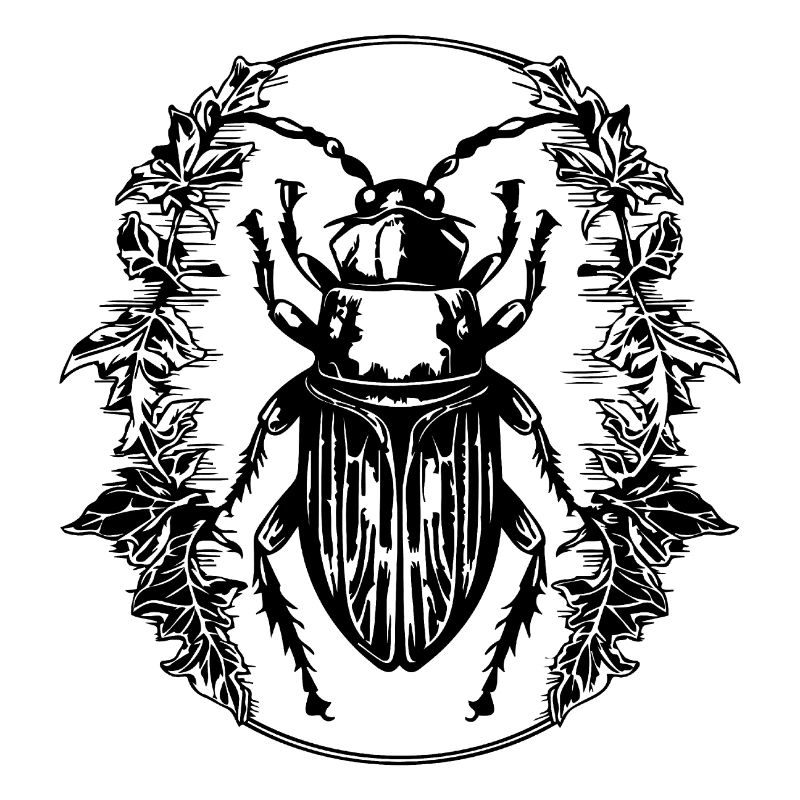 Insectes, bestioles, arthropodes