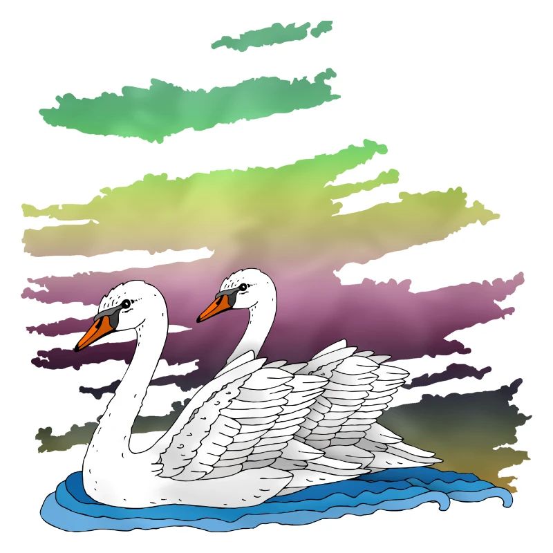 Oiseaux blancs