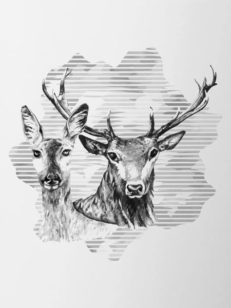 Deer and doe