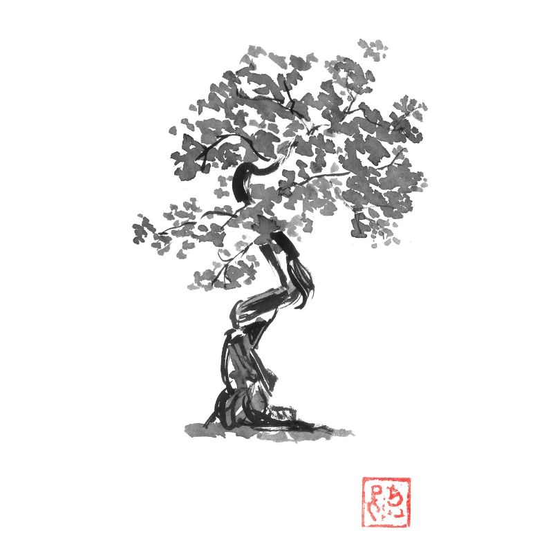 bonzai 02