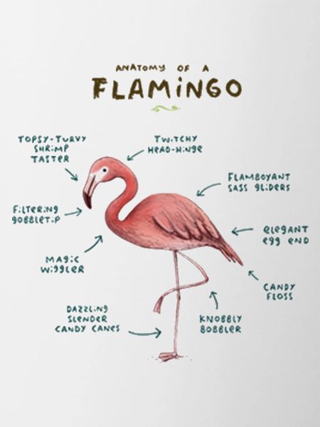 Anatomie d’un t-shirt Flamingo