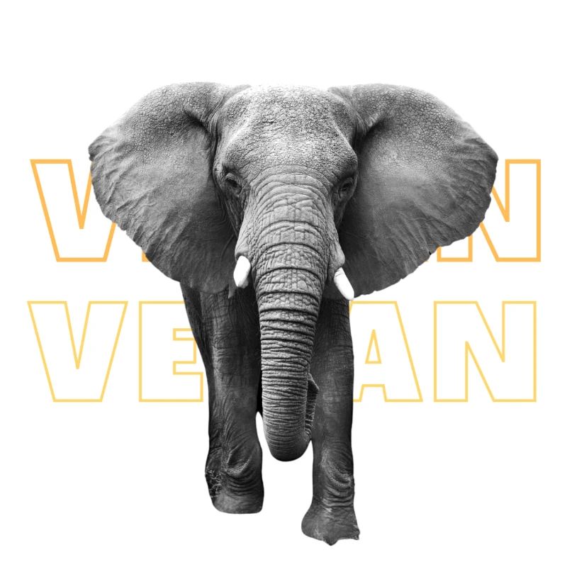 Éléphant végétalien