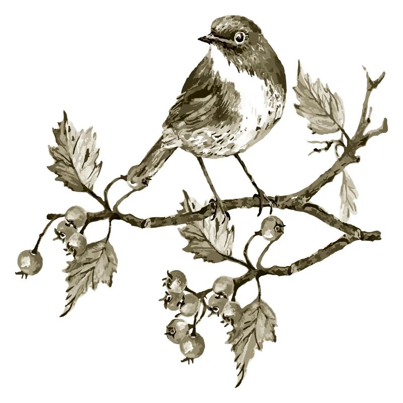 Oiseau