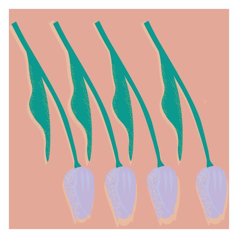 Tulipes