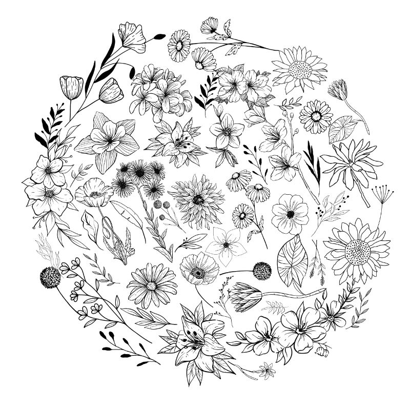 Fleur minimalistes
