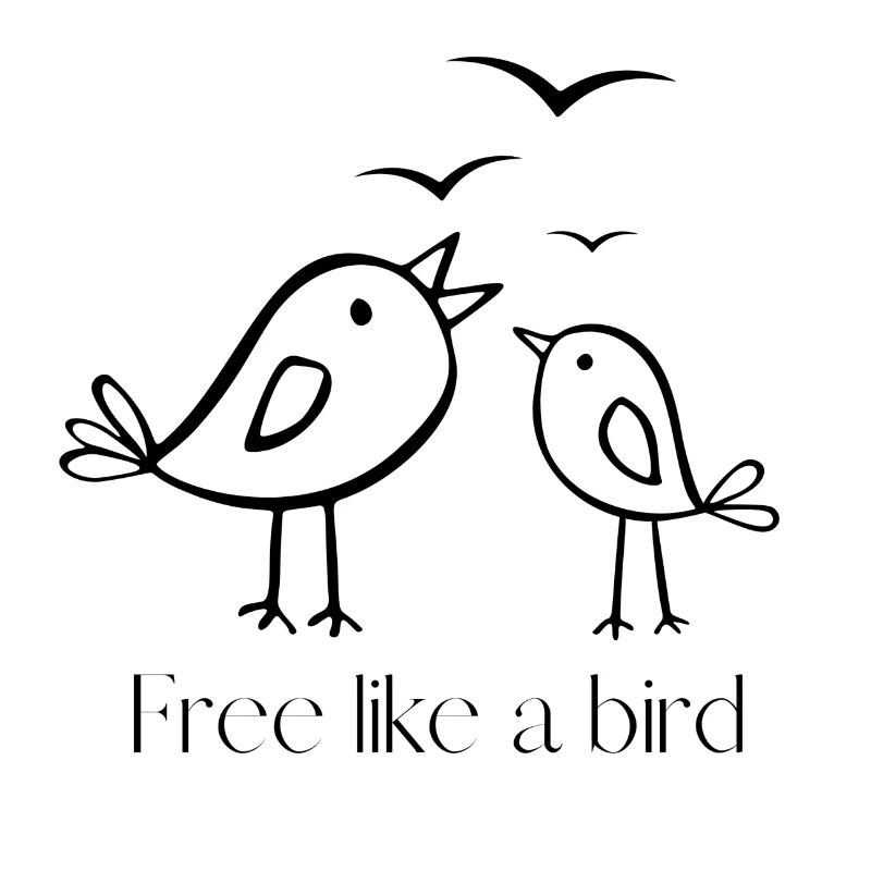 Libre comme un oiseau