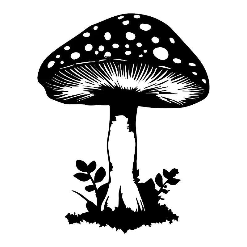 Champignon Cueilleur de champignons Champignons Champignons