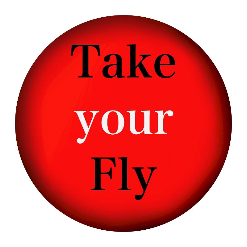 Take your Fly