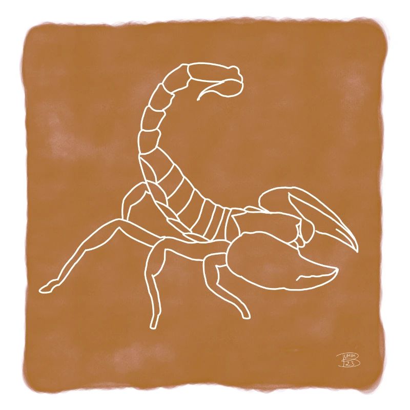"Skorpion", Boho Line Art Design, Serie "Desert"