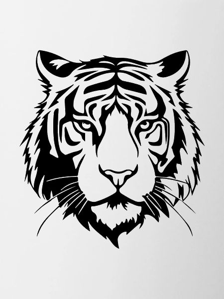 Tiger Big Cat