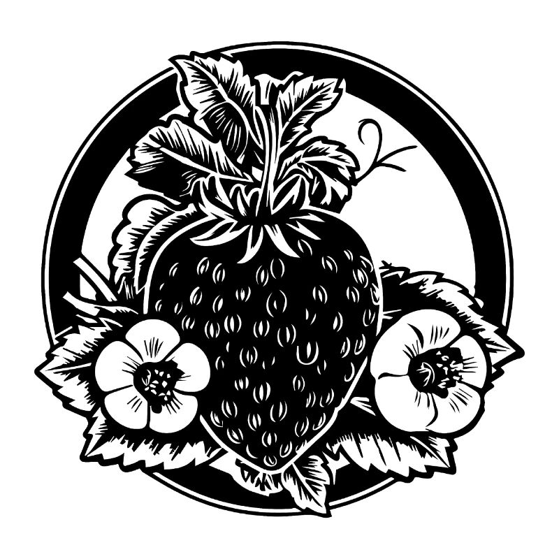 Fraise Fruit Fruit