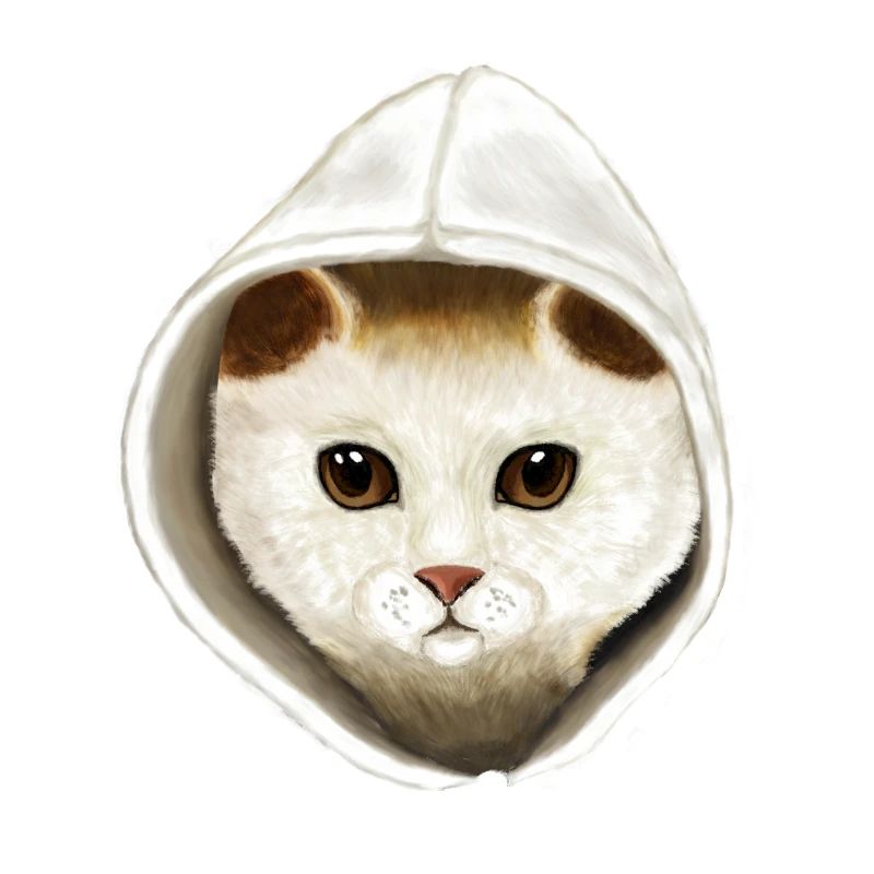 Katze